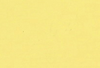 Cream Yellow GZ4070C