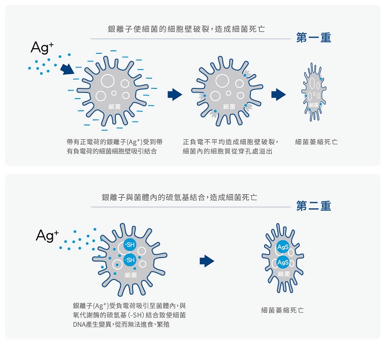 Ag+銀離子雙重抗菌機制